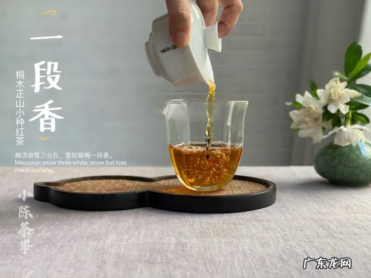 冲功夫茶的步骤 冲茶茶具