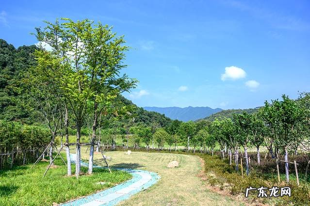 上虞看潮水时间地点 上虞看风水夏