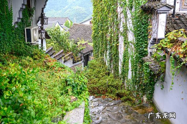上虞看潮水时间地点 上虞看风水夏