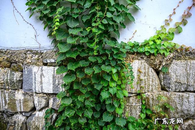 上虞看潮水时间地点 上虞看风水夏
