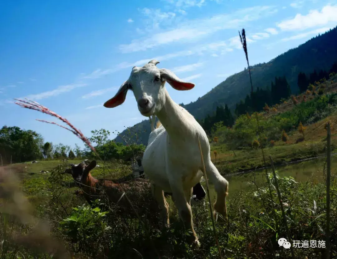 利川风水宝地图片大全