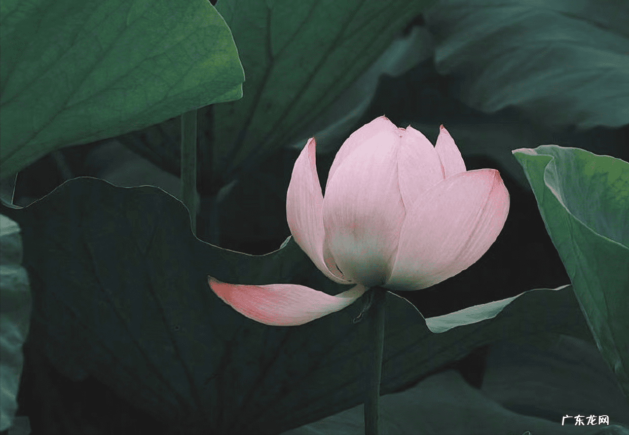 什么样的人风水最好 什么样的缘分得到好风水呢