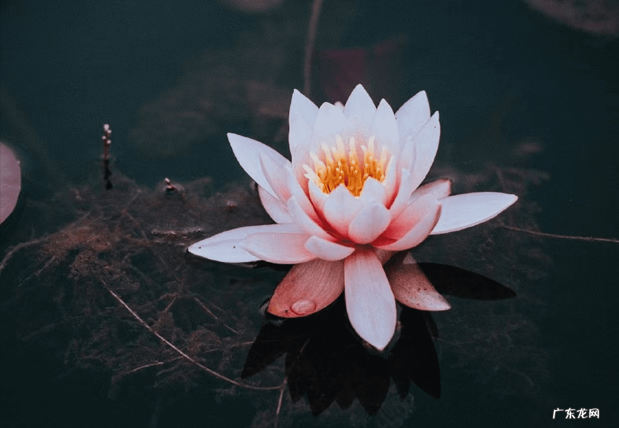 什么样的人风水最好 什么样的缘分得到好风水呢