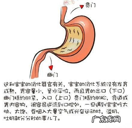 五个月宝宝经常溢奶很多次,怎么办?