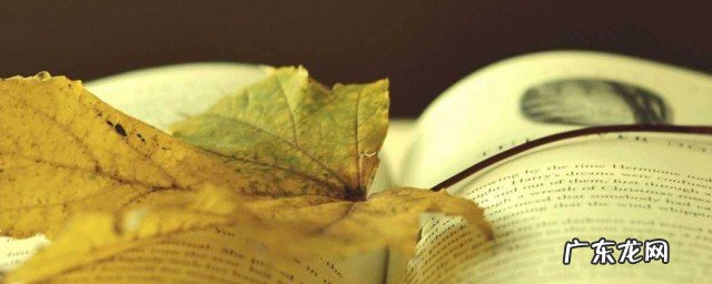 这片土地是神圣的写作背景