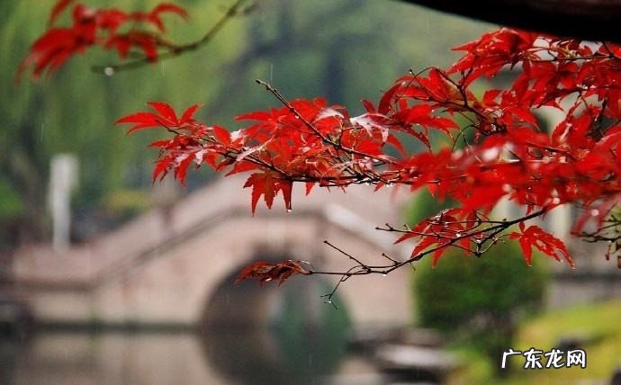 一场秋雨一场寒的下一句是什么