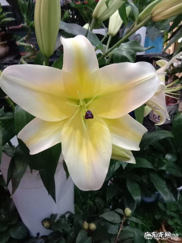 如何与不好相处的领导做良性沟通?