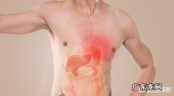 如何调理肠道功能?