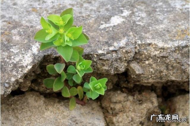 人生逆境的时候，心情总是心烦意乱，做任何事都不顺心，有什么行为和做什么可以改变？