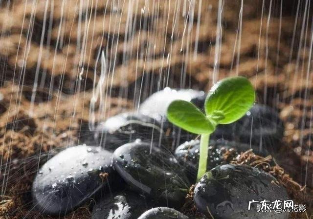 人生逆境的时候，心情总是心烦意乱，做任何事都不顺心，有什么行为和做什么可以改变？