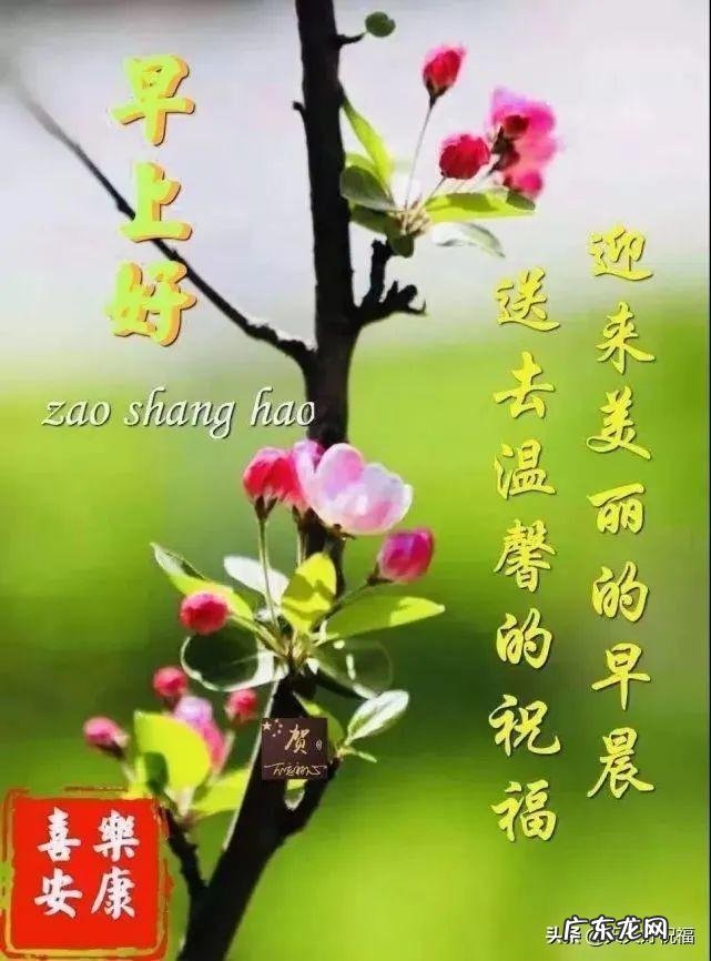 祝福短信最温馨的句子 祝福短信2022