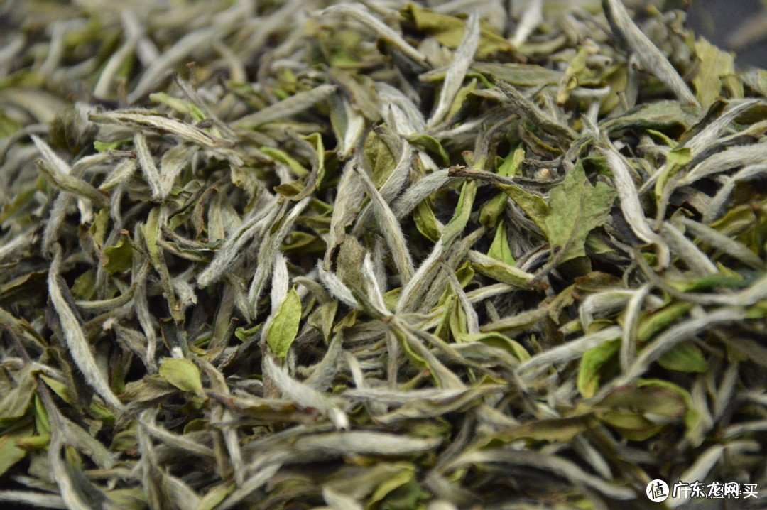 茶叶qs认证 茶叶Qs