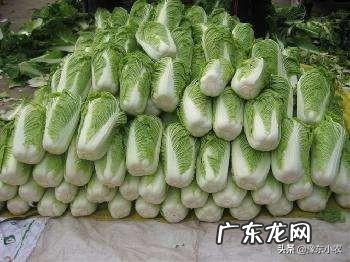 今天是小雪节气,农村老人常说小雪过后有三件事要注意,否则很受罪,是哪三件事呢?