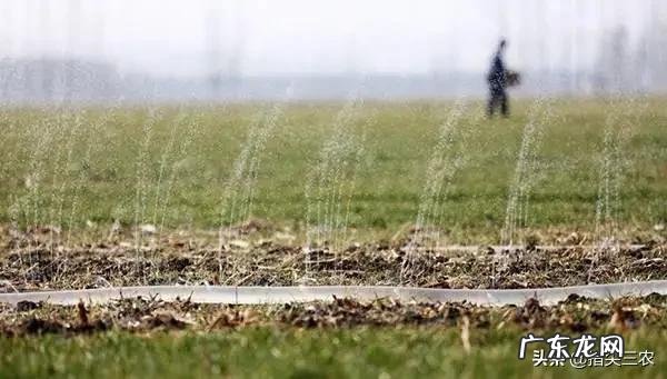 今天是小雪节气,农村老人常说小雪过后有三件事要注意,否则很受罪,是哪三件事呢?