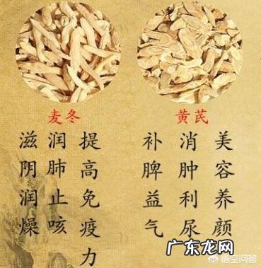 黄芪与麦冬有什么功效?