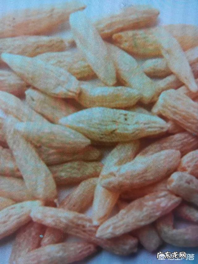 黄芪与麦冬有什么功效？