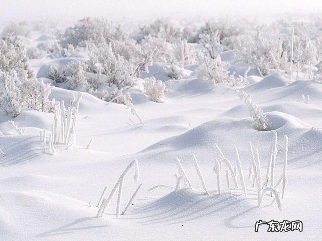 冬天来了,我们该如何正确的减脂?