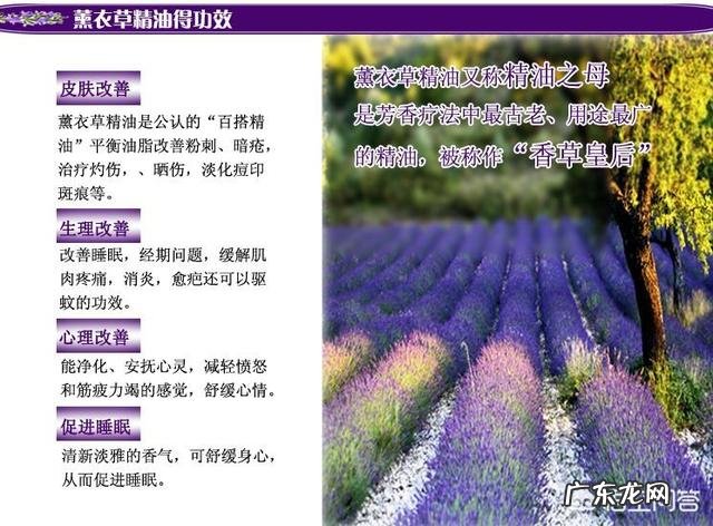 请问谁知道薰衣草精油功效与作用?