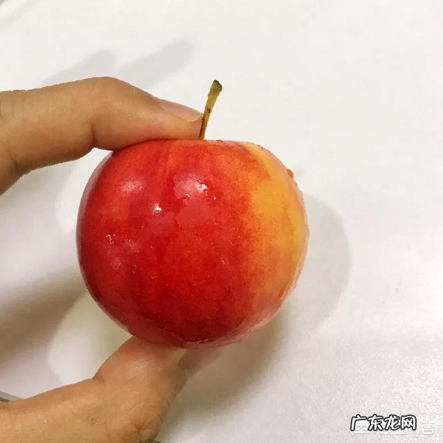 种植沙果树有什么作用？沙果能吃吗？