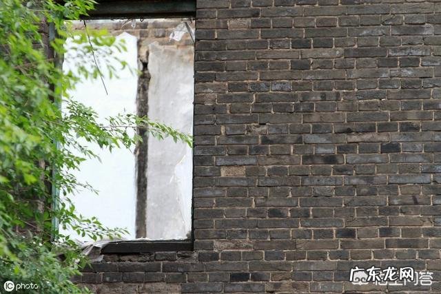 农村修房子挖地基,挖出来很多青砖,有人出3元一块收走了,我是不是亏了?