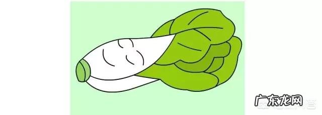 大白菜最好吃的家常做法前三名你是怎么排列的？