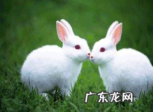 爱能爱到什么程度，才叫爱？