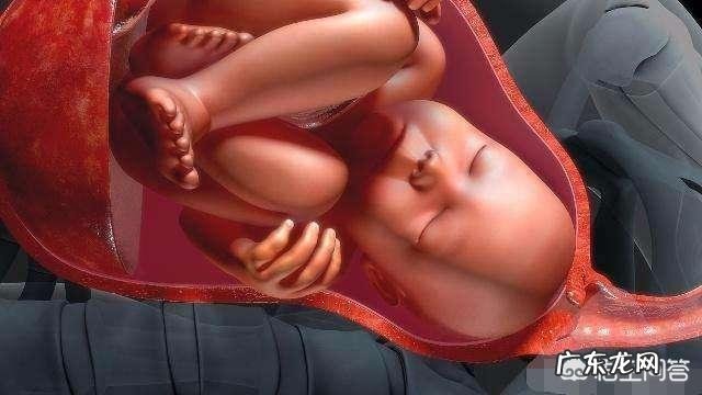 请问初次怀孕一般什么时候会生,预产期前还是后?