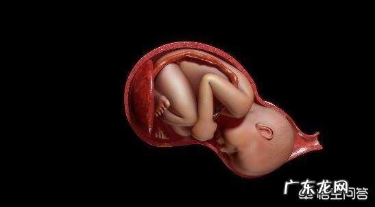 请问初次怀孕一般什么时候会生,预产期前还是后?