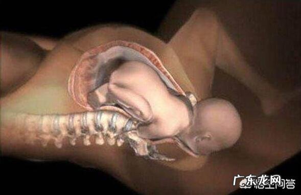 请问初次怀孕一般什么时候会生,预产期前还是后?