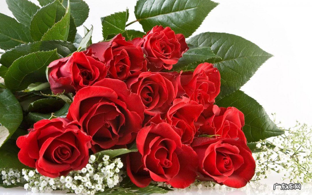 给客户送礼送什么好