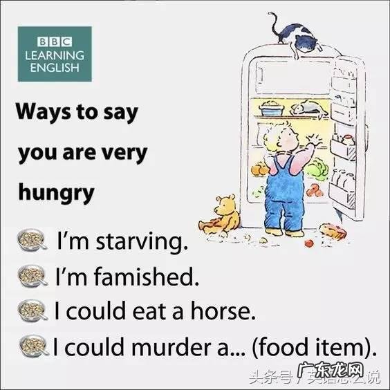 “饿死了”用英语怎么说? 饿死了的英文