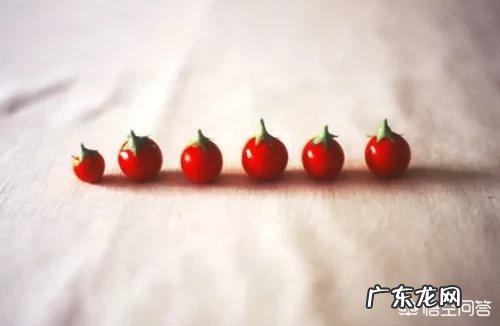 皱纹是的显老显老征兆,如何避免出现皱纹?