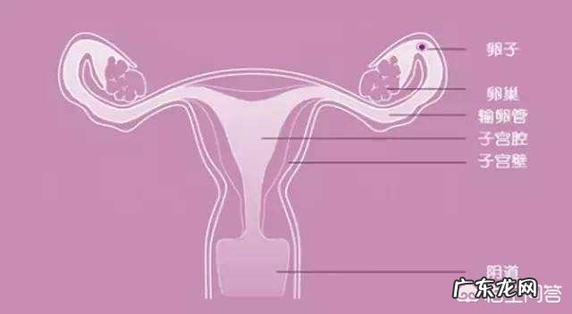 宫外孕能变成宫内孕吗？