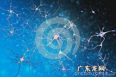 社会上有很多右脑培训班或者全脑培训班,这些都靠谱吗?