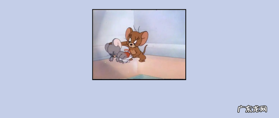 5月份计算机二级考试成绩已公布!点进来→ 陕西计算机二级成绩查询