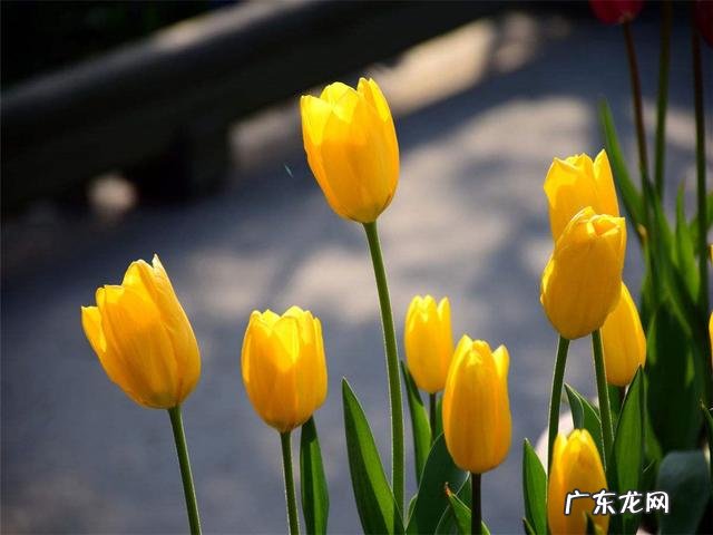 有哪些说到心坎的文字？