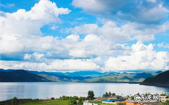 有哪些说到心坎的文字?