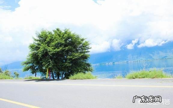 有哪些说到心坎的文字?