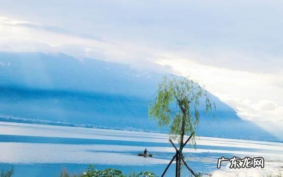 有哪些说到心坎的文字?