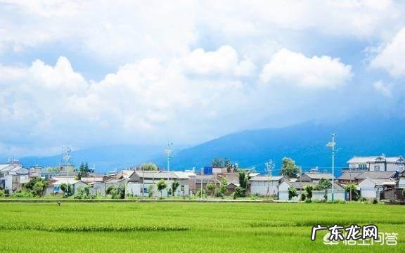 有哪些说到心坎的文字?