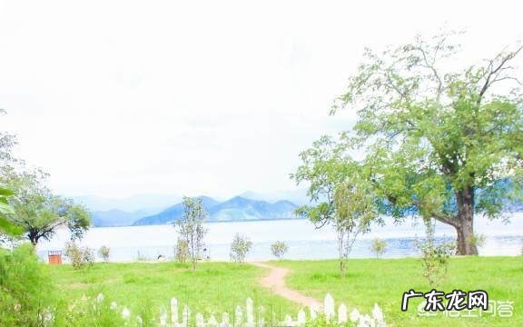 有哪些说到心坎的文字?