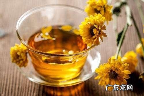 菊花有什么功效与禁忌?