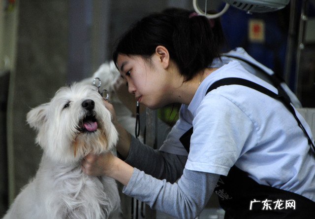 2022年创业小项目 个人创业 小额创业项目推荐