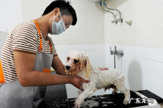 2022年创业小项目 个人创业 小额创业项目推荐