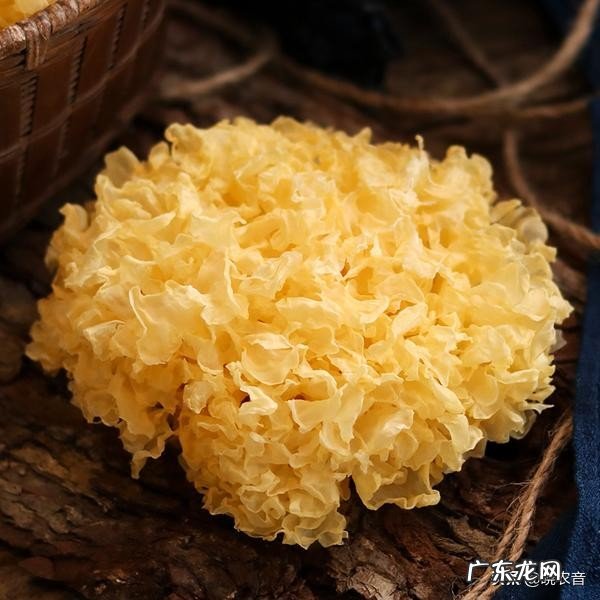 银耳产自什么地方 银耳的产地?