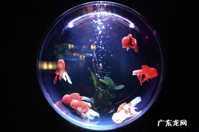 这样的房子有好风水,越住越富贵 形容房子风水好的句子