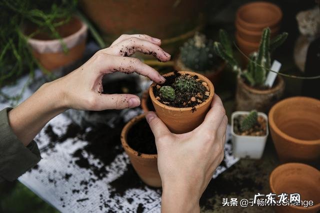 疫情过后,压力山大,如何快乐工作、幸福生活?