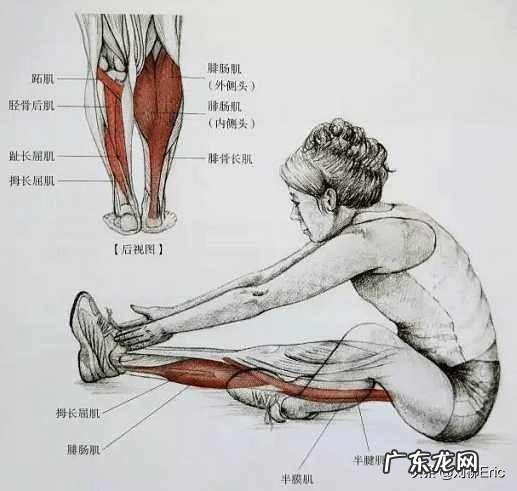 坐位体前屈是负数，怎样可以提升？