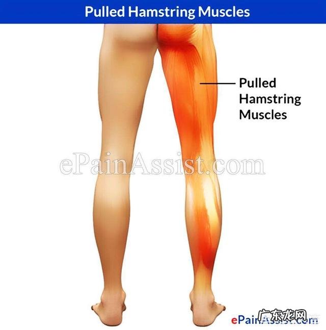 坐位体前屈是负数，怎样可以提升？