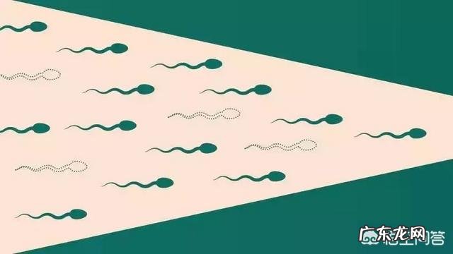 精子畸形率99%,能顺利怀孕吗?